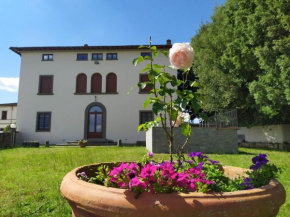 Total Tuscany Countryside Terranuova Bracciolini
